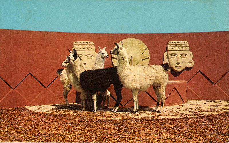 postcard